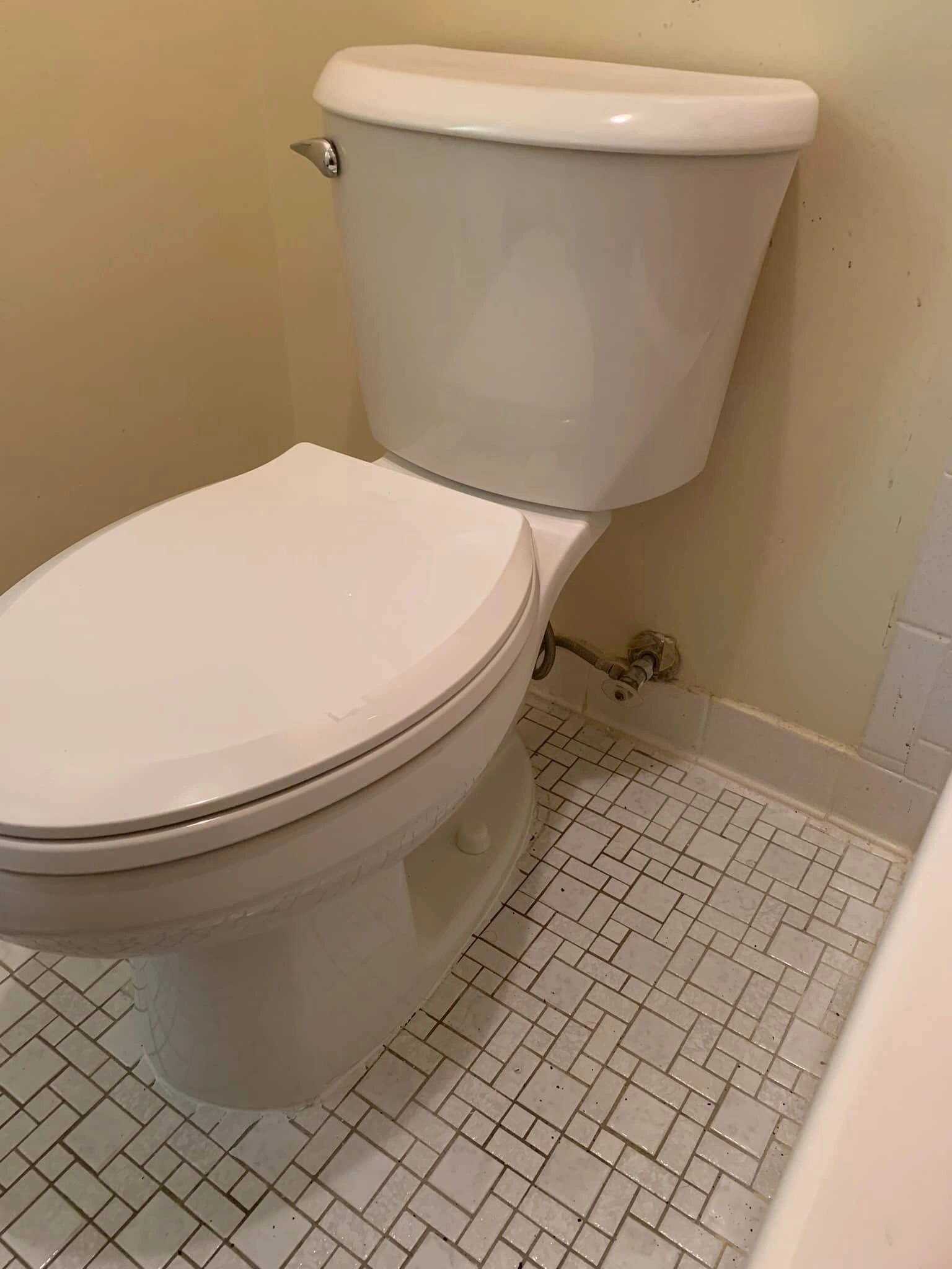 Hopkins Handyman Services — Bathroom renovation